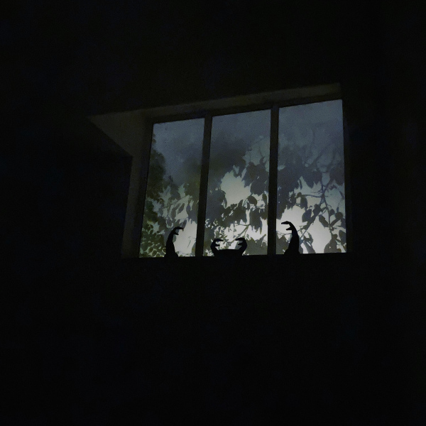 &copy; Espace Vanhomwegen. All Rights Reserved.